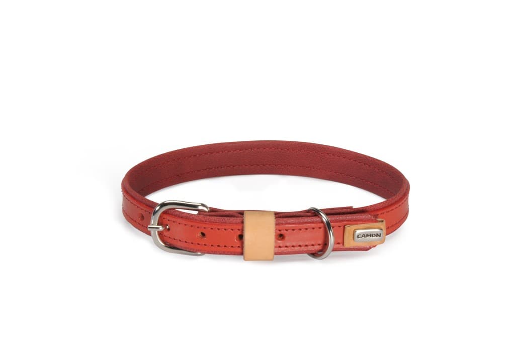 Collare in cuoio foderato