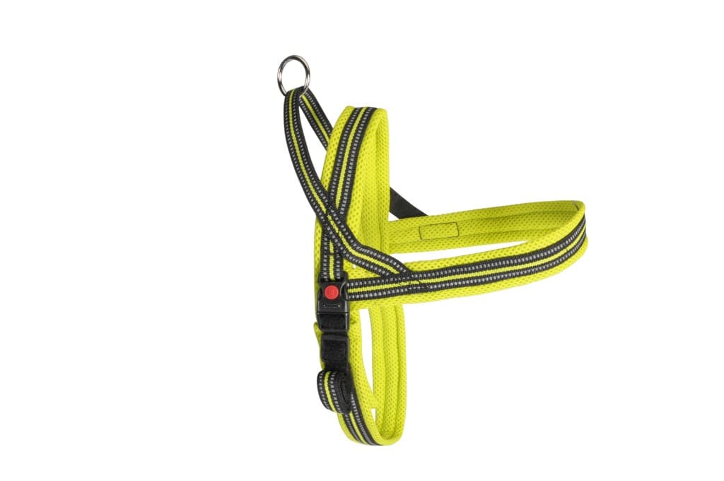 Pettorina "DynamicDog Plus" lime