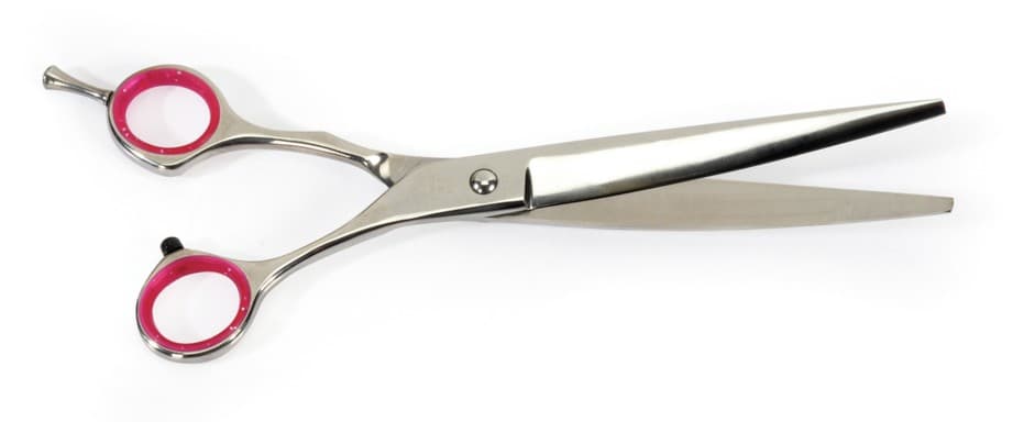 Forbici "Entrée" curve