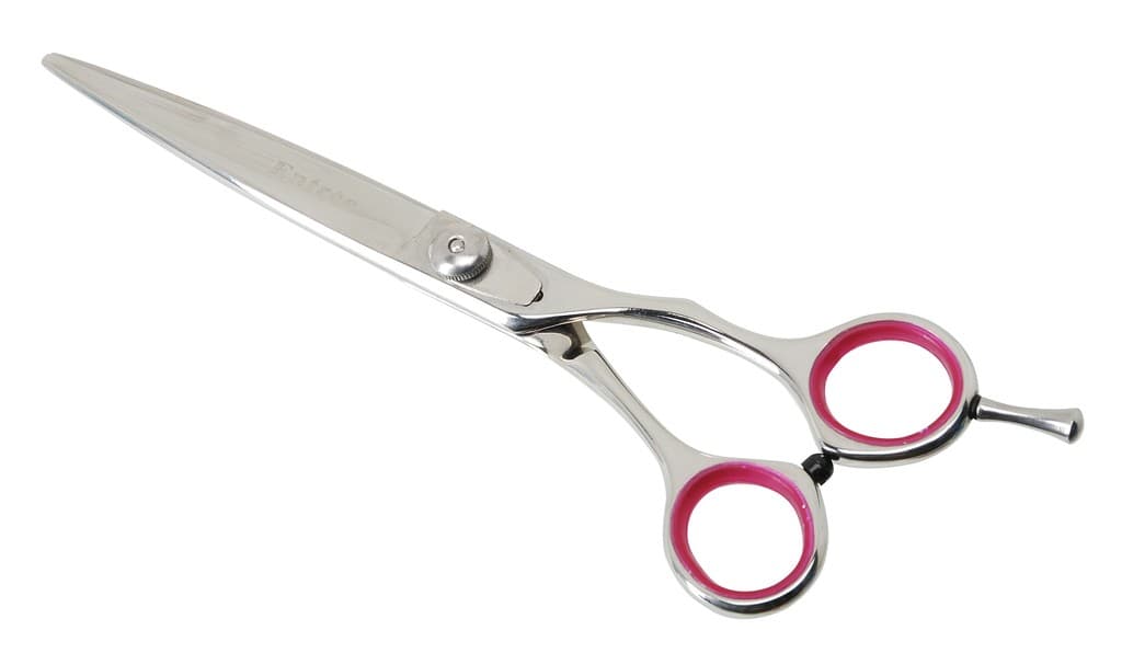 Forbici professionali Geib "Entrée" dritte in acciaio 320