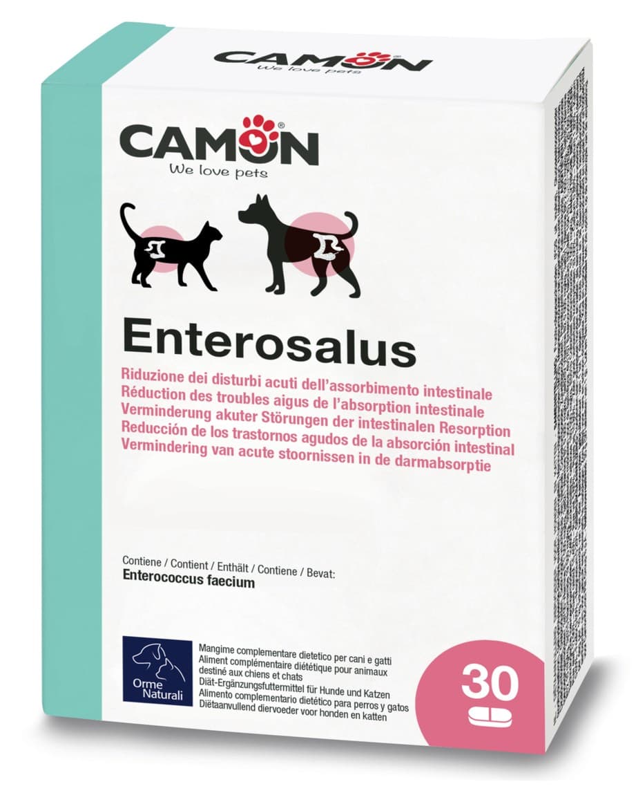 Enterosalus compresse